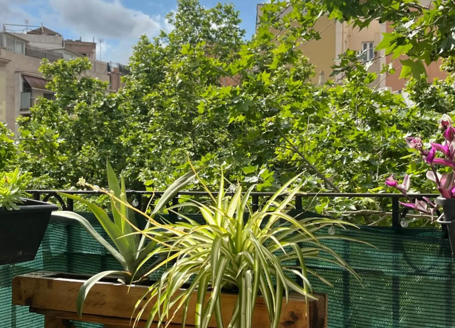 Cheap Room Барселона Апартаменты